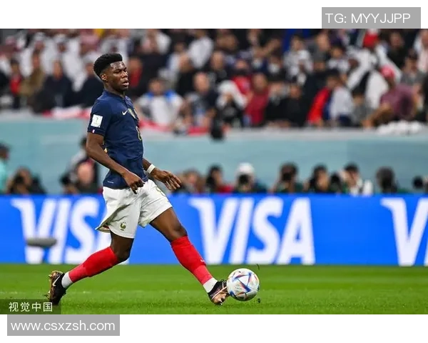 世界杯精彩对决皇马逆转热刺绝杀瞬间点燃全场激情