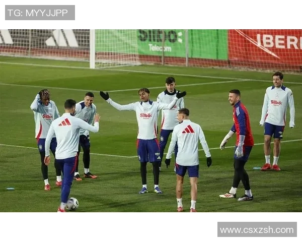 世界杯精彩对决皇马逆转热刺绝杀瞬间点燃全场激情